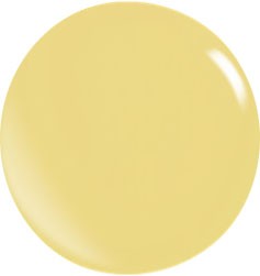 Color Acryl Powder N109/56 gr.