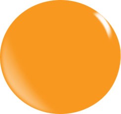 Color Acryl Powder N102/56 gr.